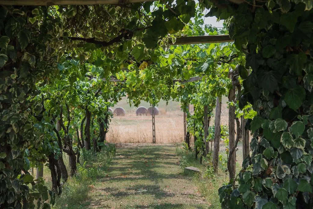 Bed & Breakfast Villa Degli Oleandri Bnb Roma